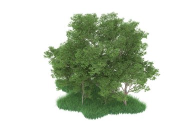 Realistic forest isolated on white background. 3d rendering - illustration