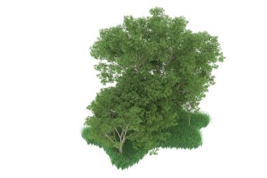Realistic forest isolated on white background. 3d rendering - illustration