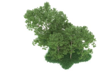 Realistic forest isolated on white background. 3d rendering - illustration