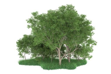 Realistic forest isolated on white background. 3d rendering - illustration