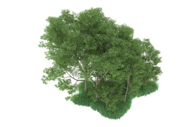 Realistic forest isolated on white background. 3d rendering - illustration