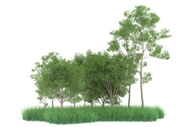 Realistic forest isolated on white background. 3d rendering - illustration