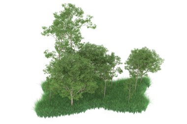Realistic forest isolated on white background. 3d rendering - illustration