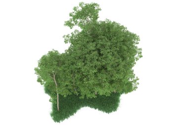 Realistic forest isolated on white background. 3d rendering - illustration