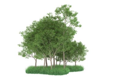 Realistic forest isolated on white background. 3d rendering - illustration