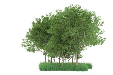 Realistic forest isolated on white background. 3d rendering - illustration