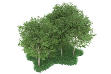 Realistic forest isolated on white background. 3d rendering - illustration