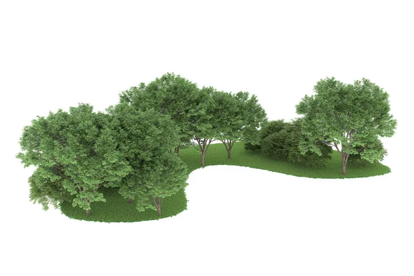 Realistic forest isolated on white background. 3d rendering - illustration
