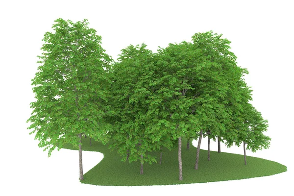 Realistic forest isolated on white background. 3d rendering - illustration