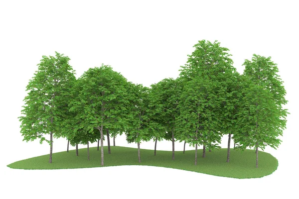 Realistic forest isolated on white background. 3d rendering - illustration