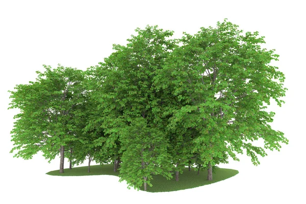 Realistic forest isolated on white background. 3d rendering - illustration