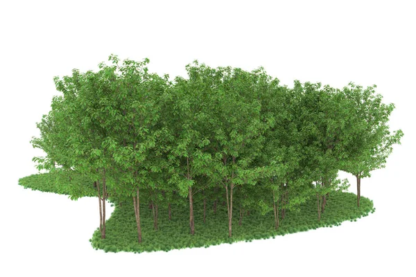 Realistic forest isolated on white background. 3d rendering - illustration