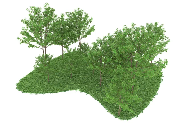 Realistic forest isolated on white background. 3d rendering - illustration