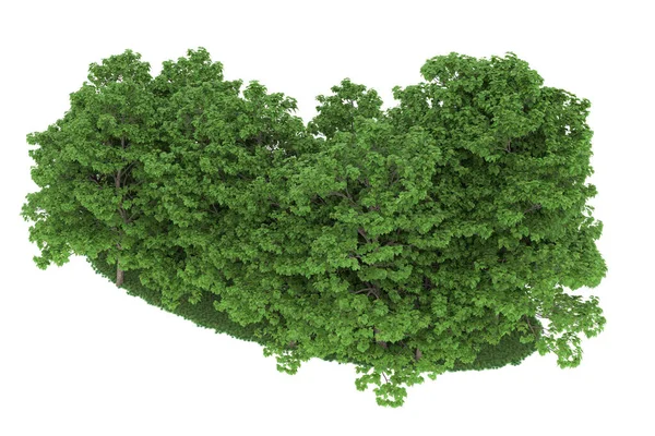 Realistic forest isolated on white background. 3d rendering - illustration