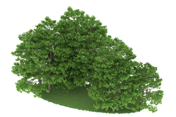 Realistic forest isolated on white background. 3d rendering - illustration