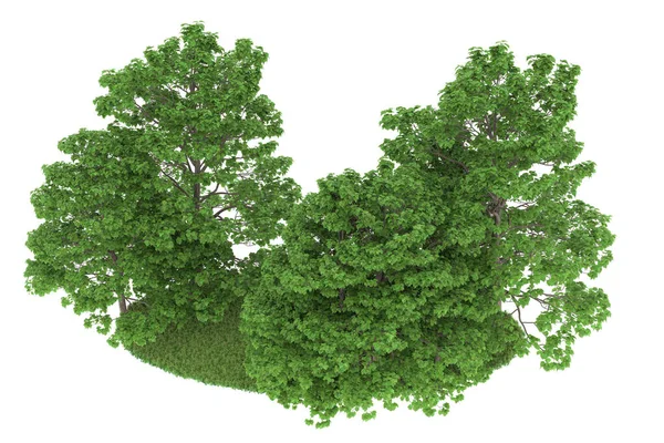 Realistic forest isolated on white background. 3d rendering - illustration