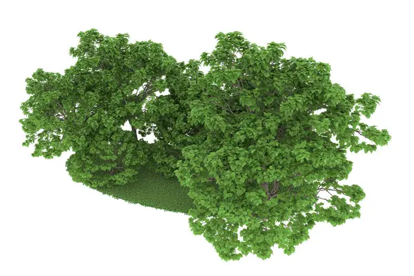 Realistic forest isolated on white background. 3d rendering - illustration