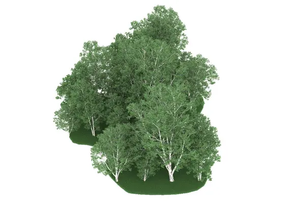 Realistic forest isolated on white background. 3d rendering - illustration