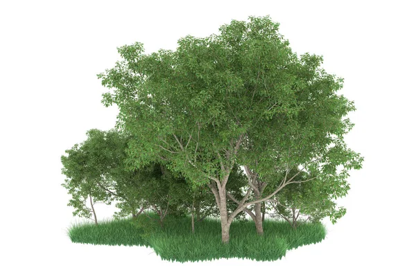 Realistic forest isolated on white background. 3d rendering - illustration