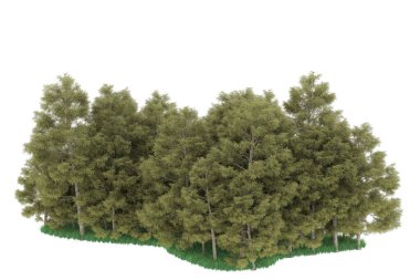 Realistic forest isolated on white background. 3d rendering - illustration