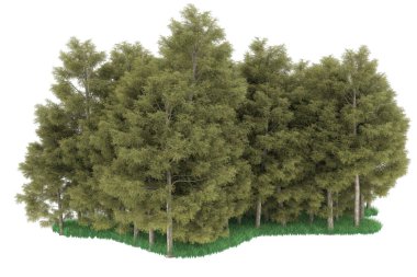 Realistic forest isolated on white background. 3d rendering - illustration