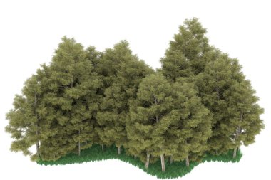 Realistic forest isolated on white background. 3d rendering - illustration