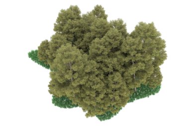 Realistic forest isolated on white background. 3d rendering - illustration