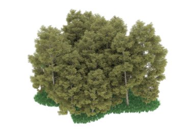 Realistic forest isolated on white background. 3d rendering - illustration