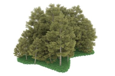 Realistic forest isolated on white background. 3d rendering - illustration