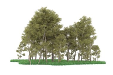 Realistic forest isolated on white background. 3d rendering - illustration