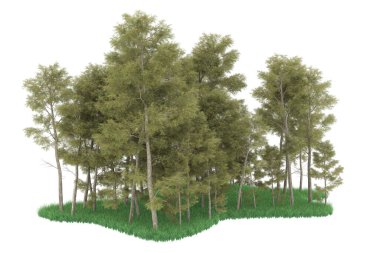 Realistic forest isolated on white background. 3d rendering - illustration