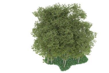 Realistic forest isolated on white background. 3d rendering - illustration