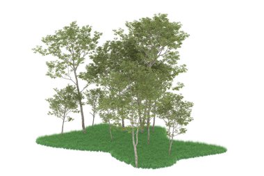 Realistic forest isolated on white background. 3d rendering - illustration