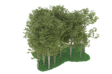 Realistic forest isolated on white background. 3d rendering - illustration