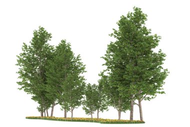 Realistic forest isolated on white background. 3d rendering - illustration