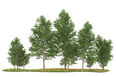 Realistic forest isolated on white background. 3d rendering - illustration