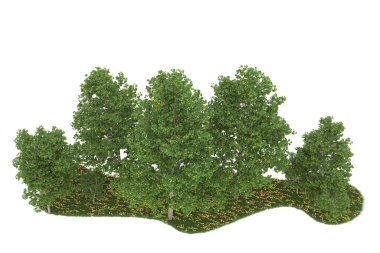 Realistic forest isolated on white background. 3d rendering - illustration