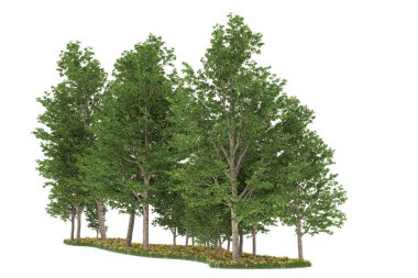 Realistic forest isolated on white background. 3d rendering - illustration