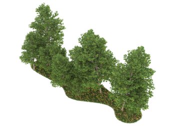 Realistic forest isolated on white background. 3d rendering - illustration