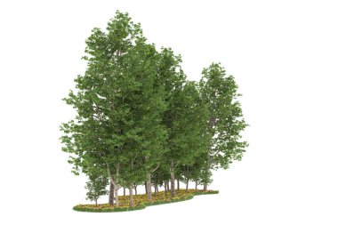 Realistic forest isolated on white background. 3d rendering - illustration