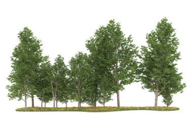 Realistic forest isolated on white background. 3d rendering - illustration