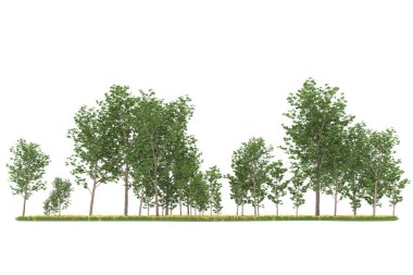 Realistic forest isolated on white background. 3d rendering - illustration