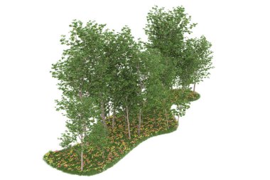 Realistic forest isolated on white background. 3d rendering - illustration
