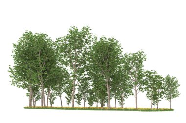 Realistic forest isolated on white background. 3d rendering - illustration