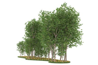 Realistic forest isolated on white background. 3d rendering - illustration