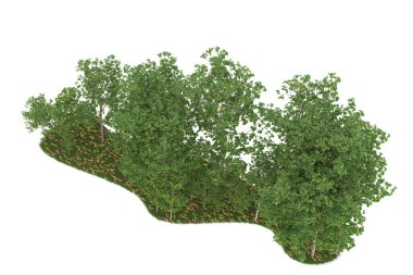 Realistic forest isolated on white background. 3d rendering - illustration