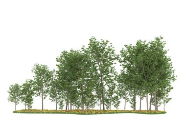 Realistic forest isolated on white background. 3d rendering - illustration
