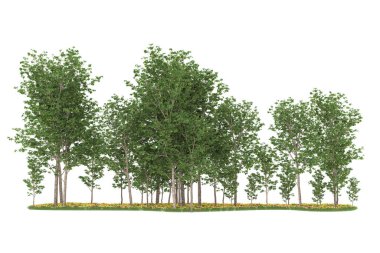 Realistic forest isolated on white background. 3d rendering - illustration