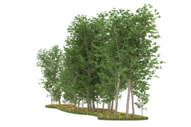Realistic forest isolated on white background. 3d rendering - illustration