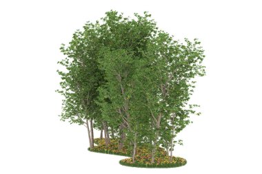 Realistic forest isolated on white background. 3d rendering - illustration